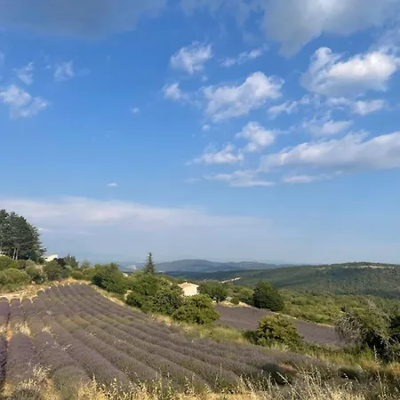 L'inattendu * Vachères