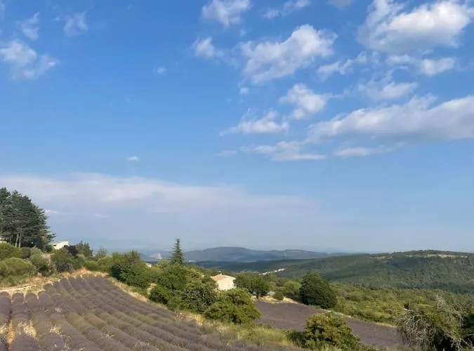 L'inattendu * Vachères